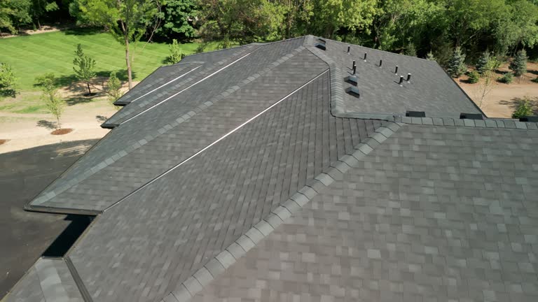 Best Chimney Flashing Repair  in El Jon, CA