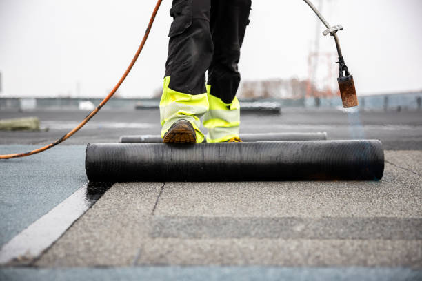 Best Rubber Roofing (EPDM, TPO)  in El Jon, CA